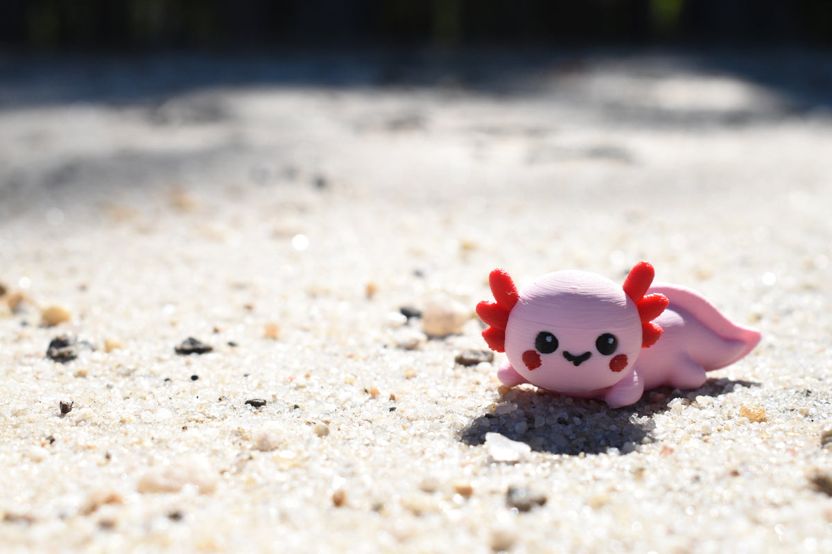 3D printed kawaii axolotl desk toy figurine resting outdoors on beach sand by LayerPlay