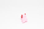 Low angle view of cute 3D printed kawaii axolotl desk toy figure resting on a white background by LayerPlay