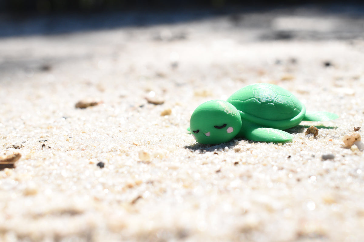 3D printed kawaii sea turtle desk toy figurine resting outdoors on beach sand by LayerPlay