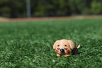Cute 3D printed brown kawaii sleeping dog desk toy figurine lying on green grass outdoors by LayerPlay