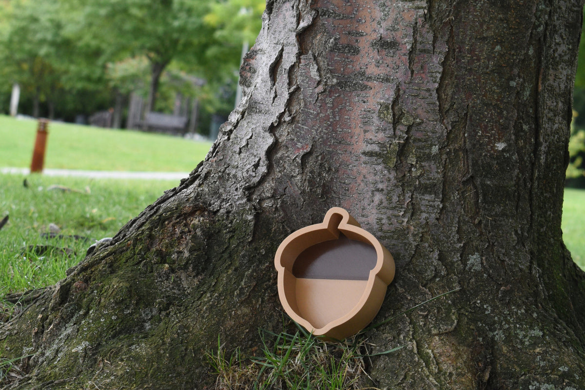 3D printed acorn candy dish resting against a tree, autumn table decor by LayerPlay Layertreat