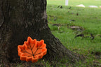 3D printed orange maple leaf candy dish resting at the base of a tree, outdoor fall decor by LayerPlay Layertreat