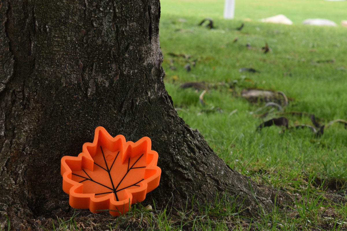 3D printed orange maple leaf candy dish resting at the base of a tree, outdoor fall decor by LayerPlay Layertreat