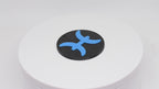 Pisces Spin