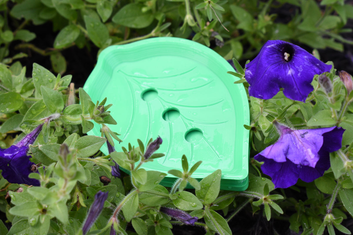 Green leaf pattern 3D printed self-draining soap holder nestled in garden foliage with purple flowers by LayerPlay Solara